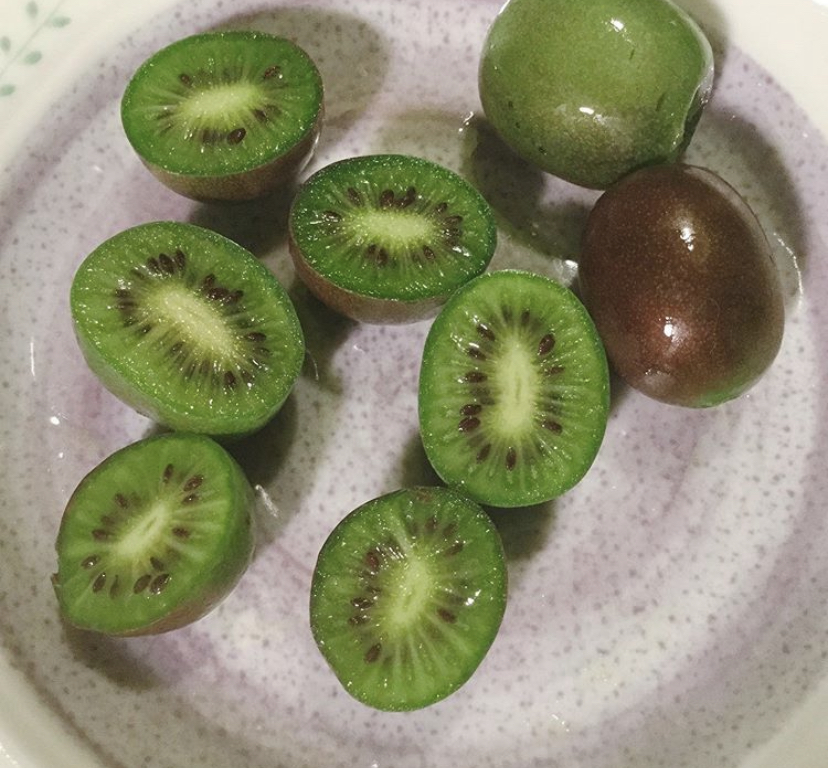 北海道サルナシワインの味は？評判や値段が気になる【ポツンと一軒家】 まっすー庭園