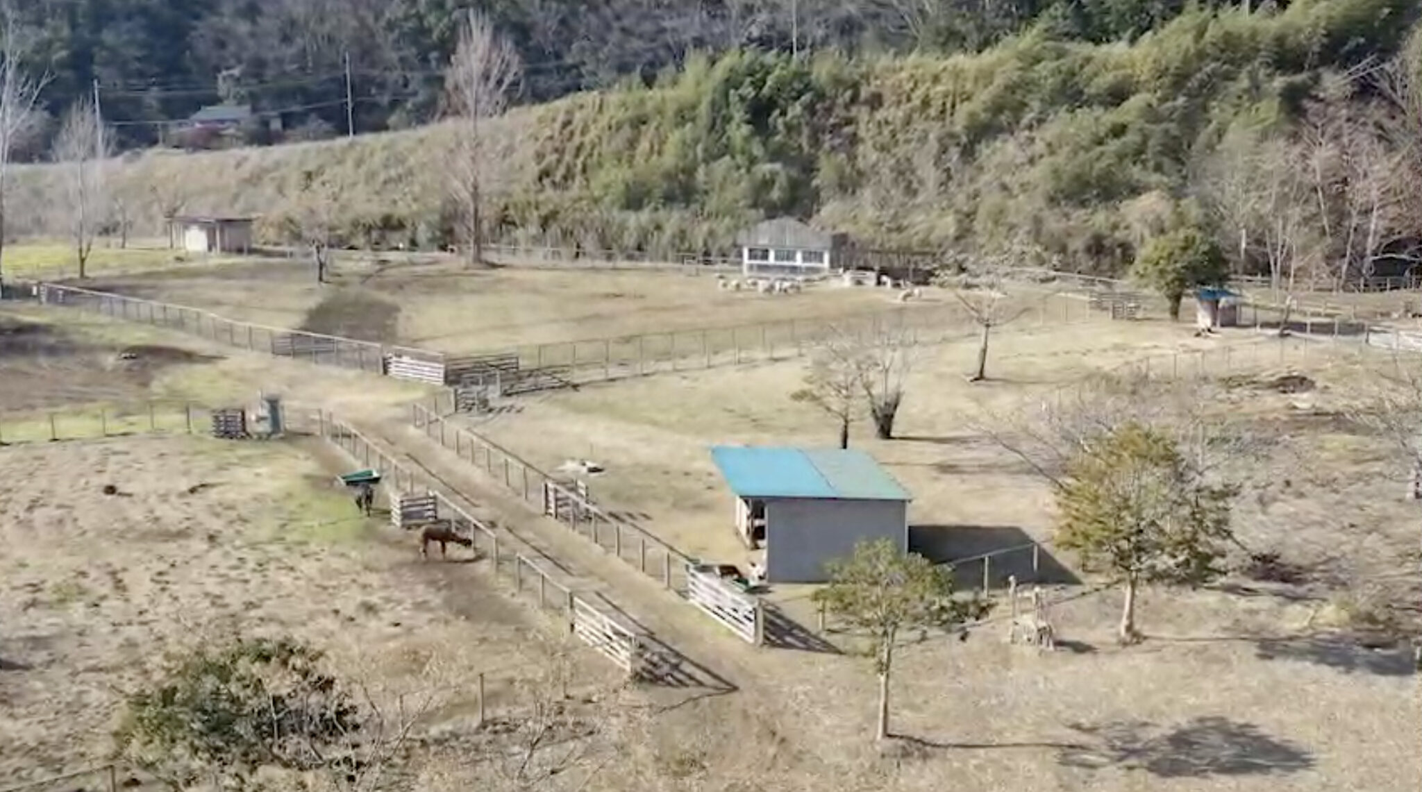 【みんなの動物園】袖ヶ浦ふれあいどうぶつ縁のアクセスや口コミは？ まっすー庭園